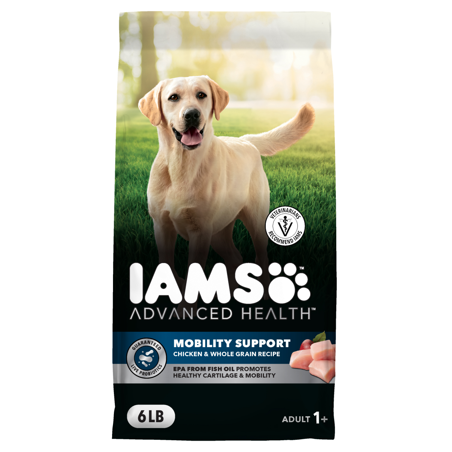 slide 1 of 8, IAMS Advanced Health Adult 1+ Mobility Support Super Premium Chicken & Whole Grain Recipe Dog Food 6 lb, 6 lb