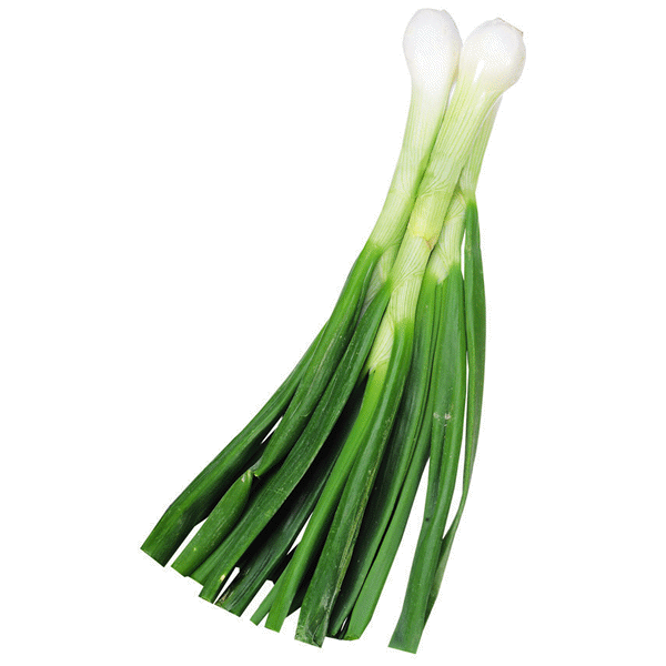 slide 1 of 1, Green Onions, 1 lb