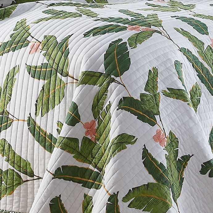 slide 3 of 3, Coastal Living Luliana King Quilt Set - Green, 3 ct