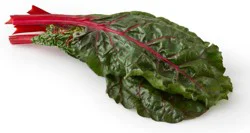 Fresh Organic Red Swiss Chard