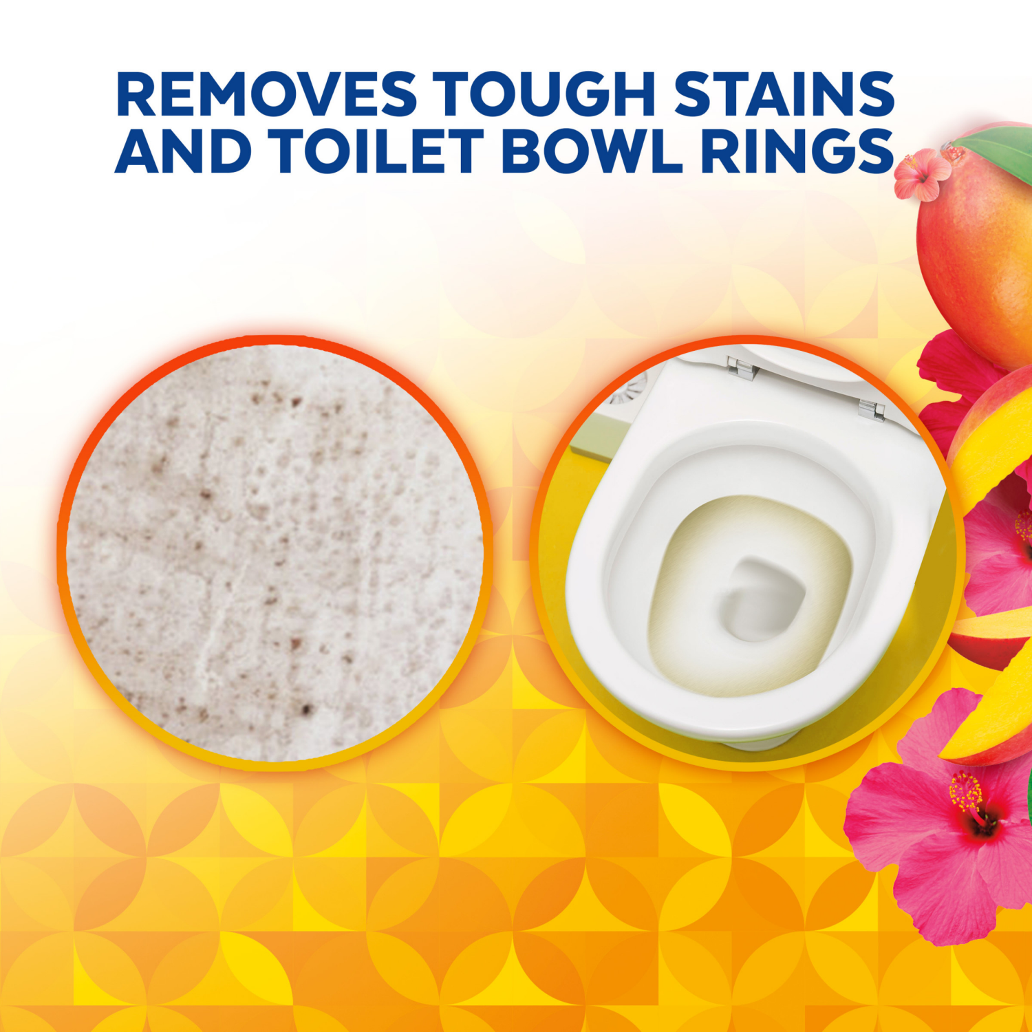 slide 5 of 6, Lysol Toilet Bowl Cleaner Gel, For Cleaning And Disinfecting, Stain Removal, Brand New Day, Mango And Hibiscus, 24oz, 24 oz