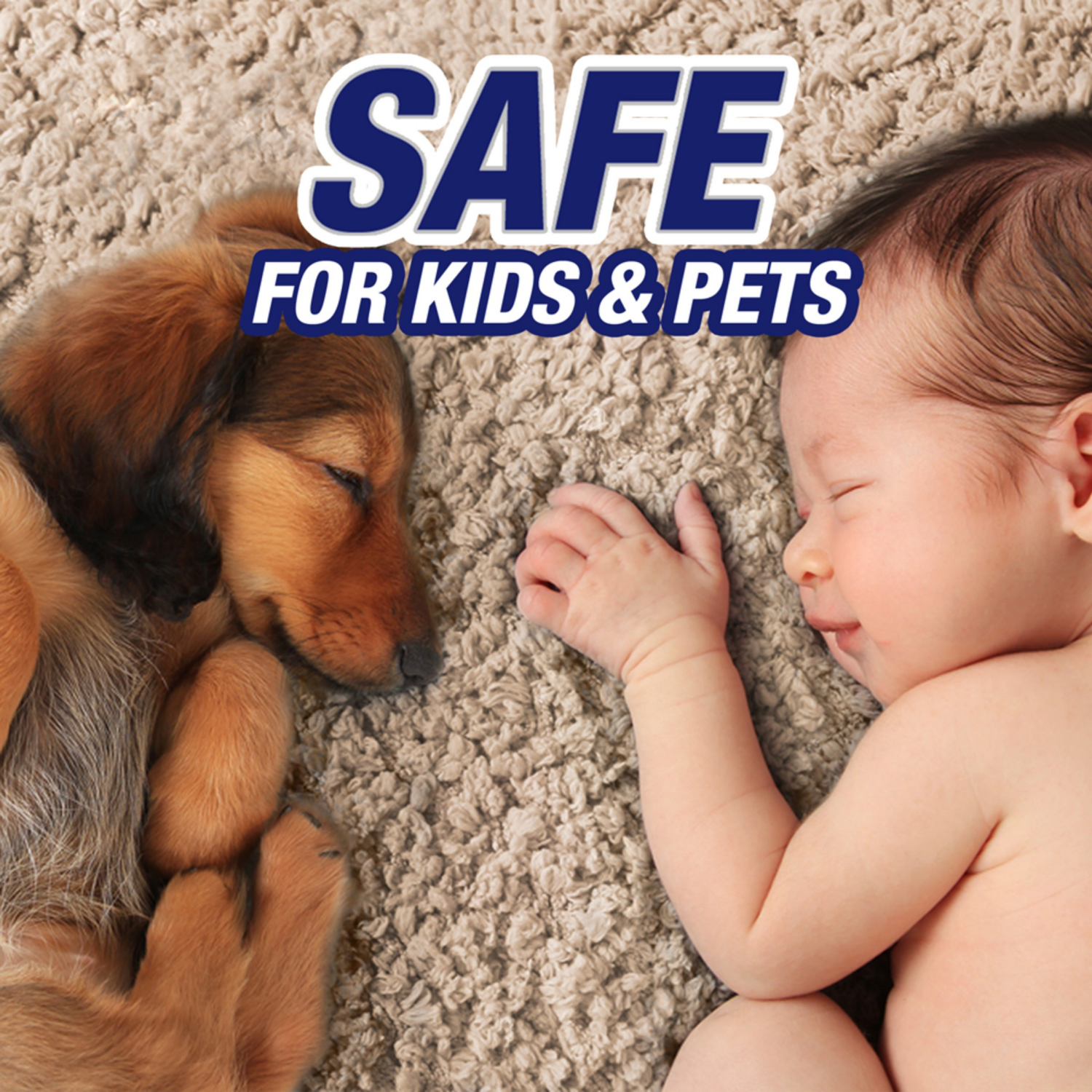 slide 5 of 6, Resolve Pet Expert Stain & Odor Remover 22 oz, 22 oz