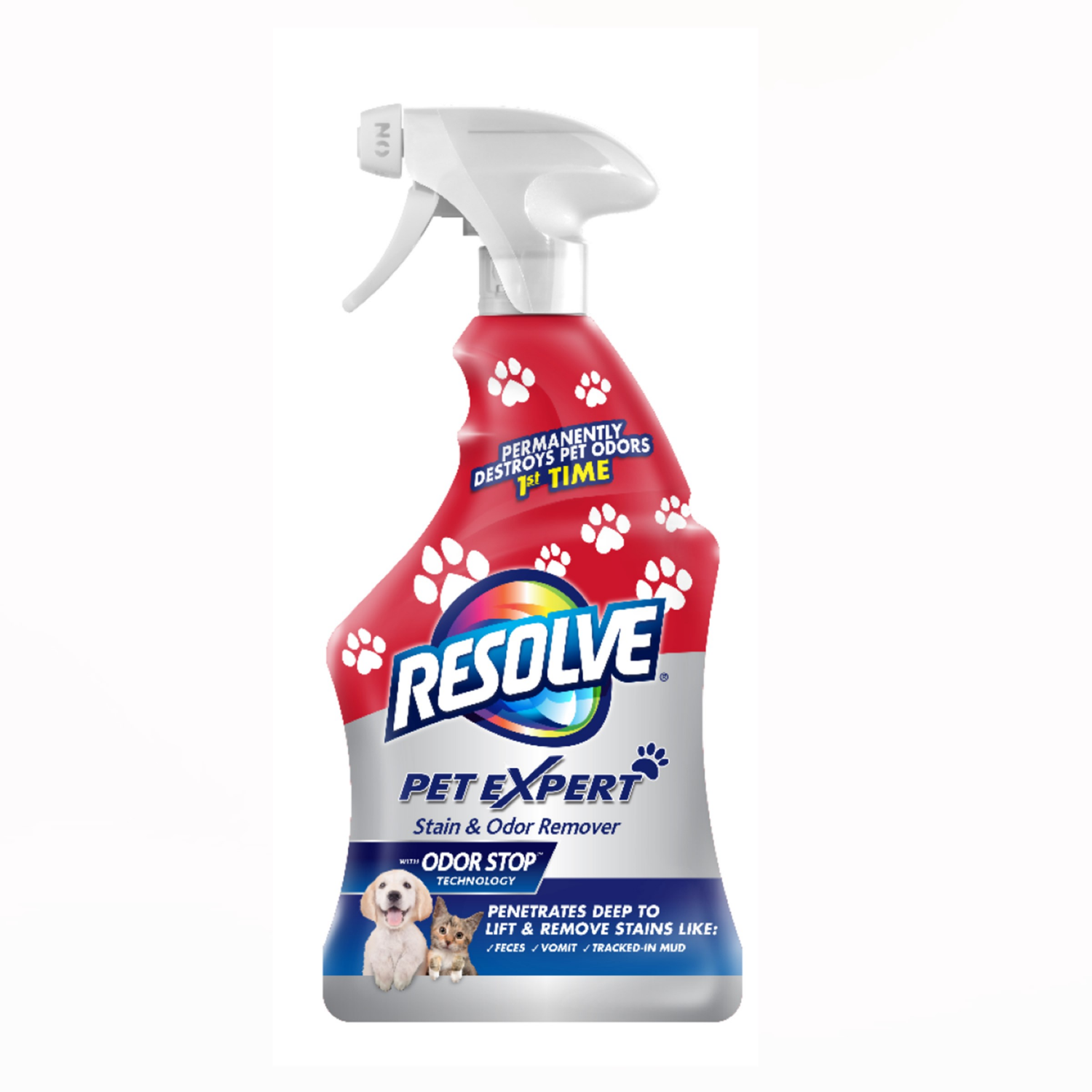 slide 1 of 6, Resolve Pet Expert Stain & Odor Remover 22 oz, 22 oz