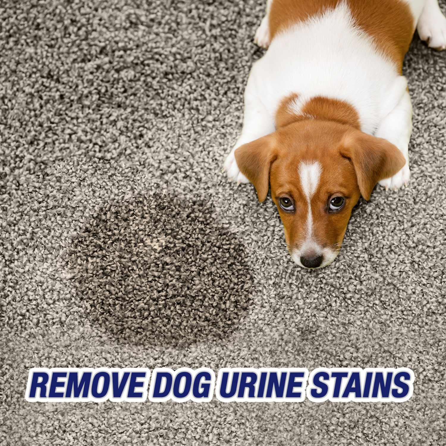 slide 5 of 8, Resolve Stains & Odors Urine Destroyer 32 fl oz, 32 fl oz
