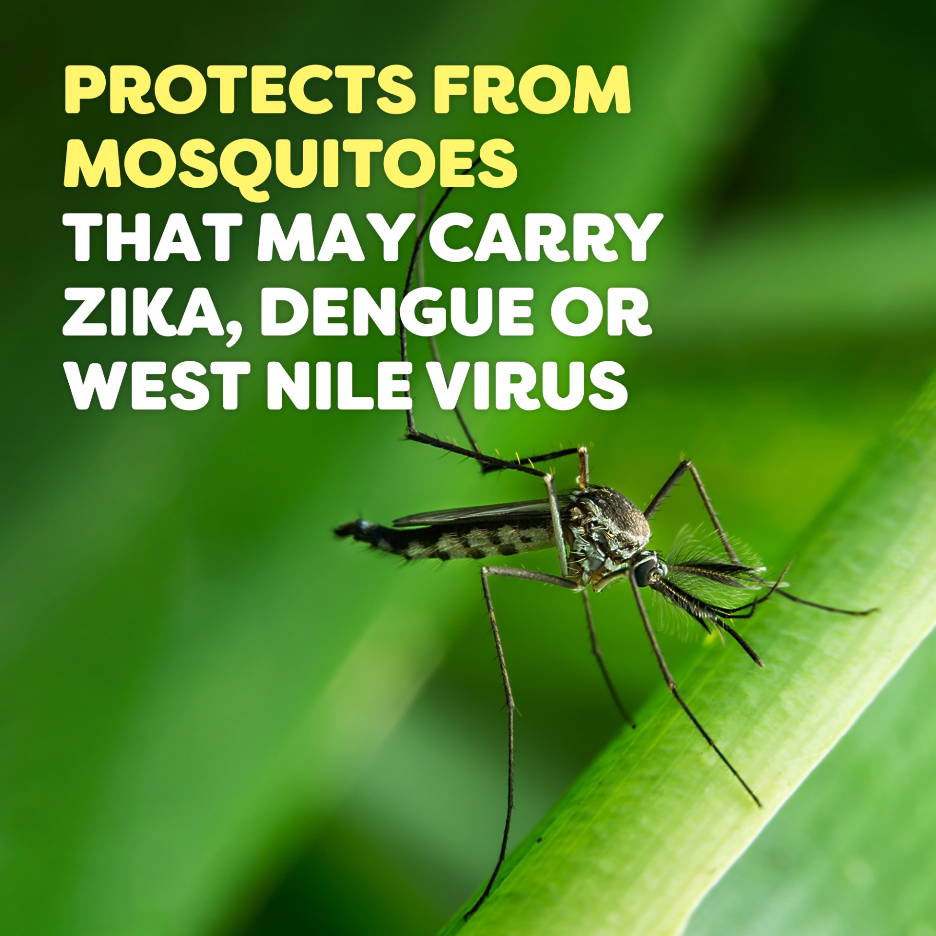 slide 5 of 7, OFF! FamilyCare Mosquito Repellent Smooth & Dry Non-Greasy Spray, 4 oz, 4 oz