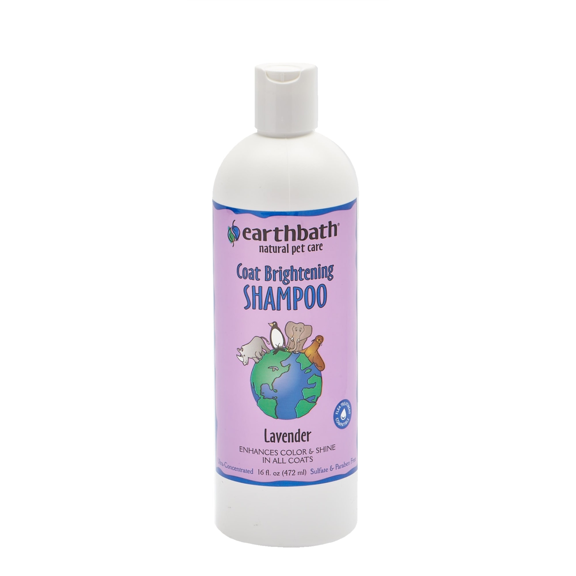slide 1 of 1, earthbath Coat Brightening Shampoo, 16 fl oz