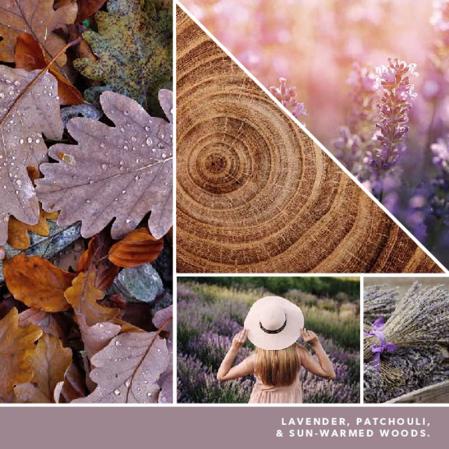 slide 2 of 2, Yankee Candle Scenterpiece Cup Dried Lavender & Oak, 2.2 oz