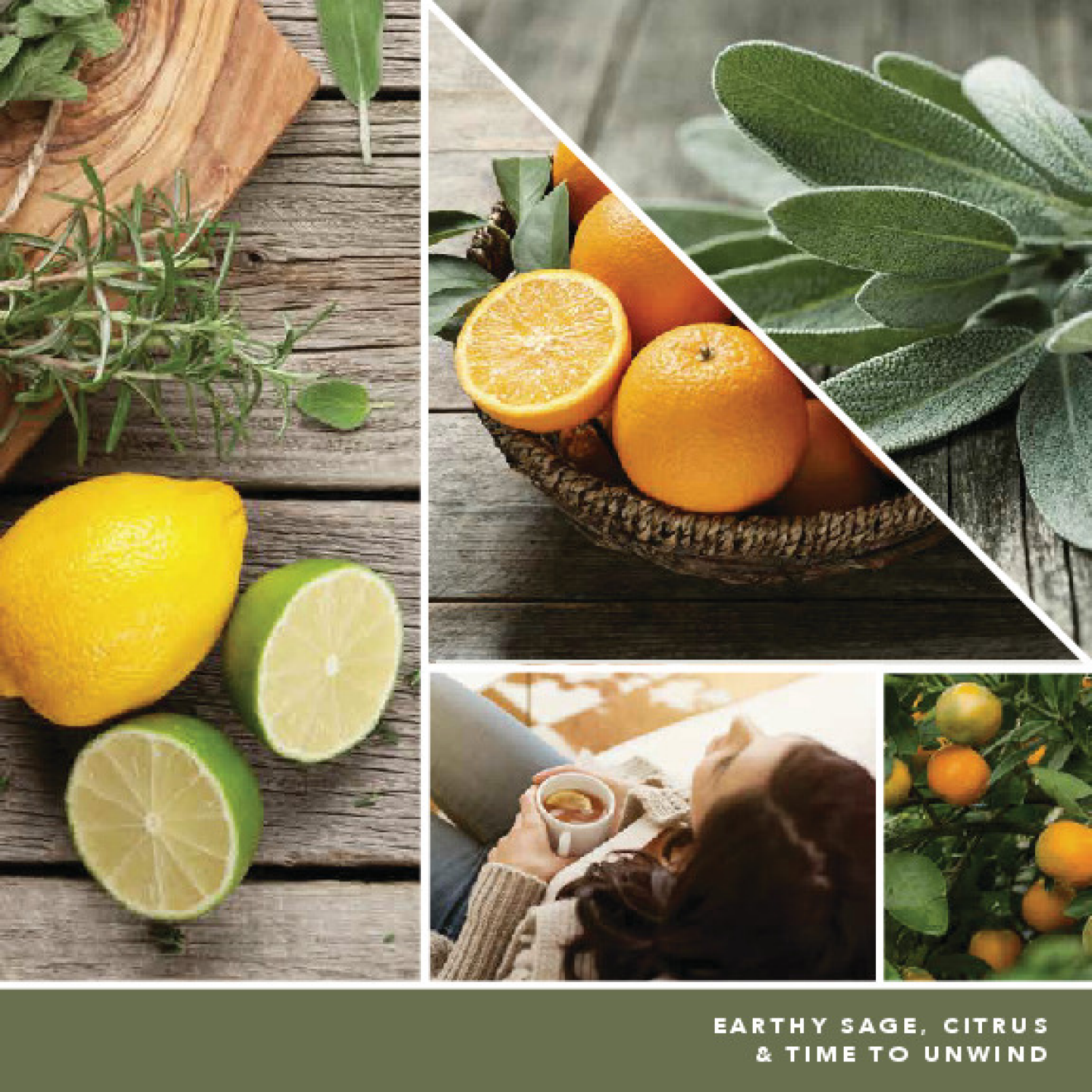 slide 3 of 3, Yankee Candle Sidekick 2 Pack Sage & Citrus Air Fresheners Refill 2 ea, 2 ct