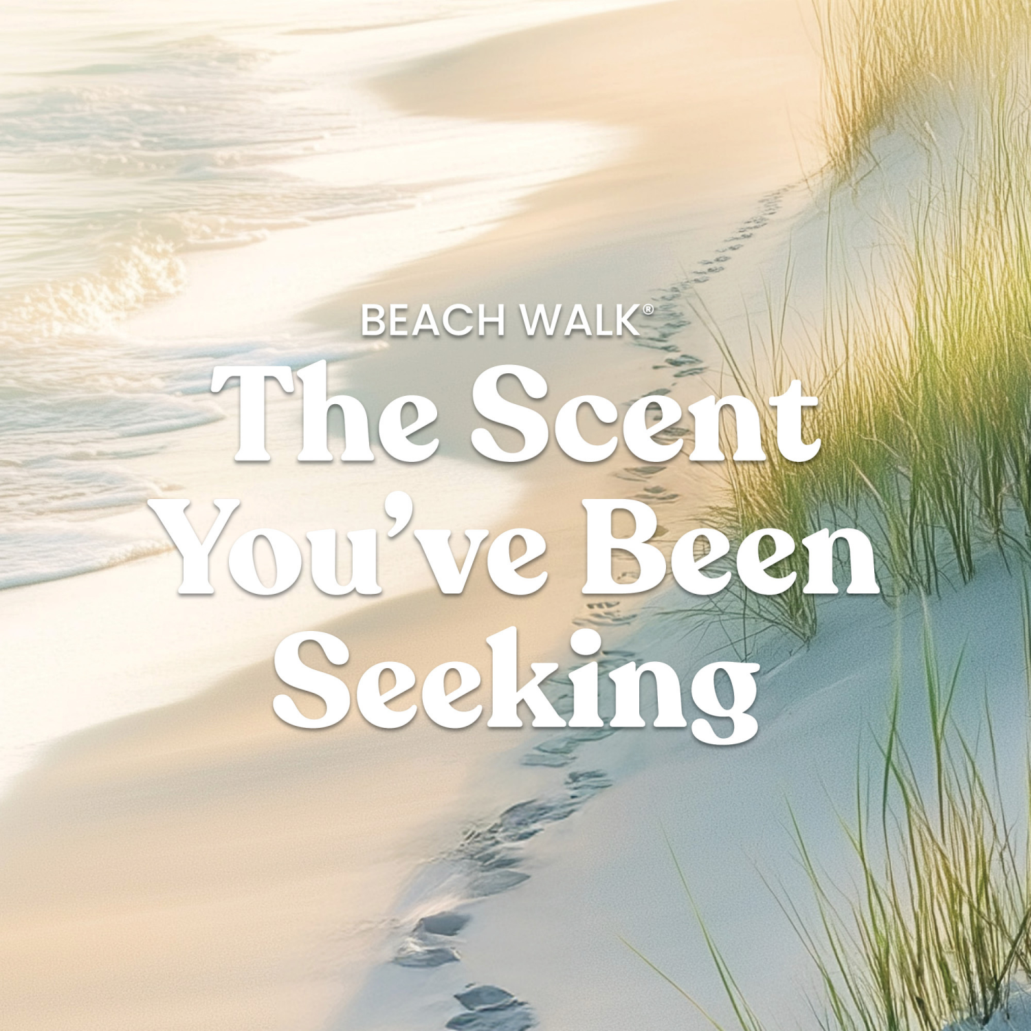 slide 3 of 6, Yankee Candle Signature Collection Large Tumbler Beach Walk, 20 oz