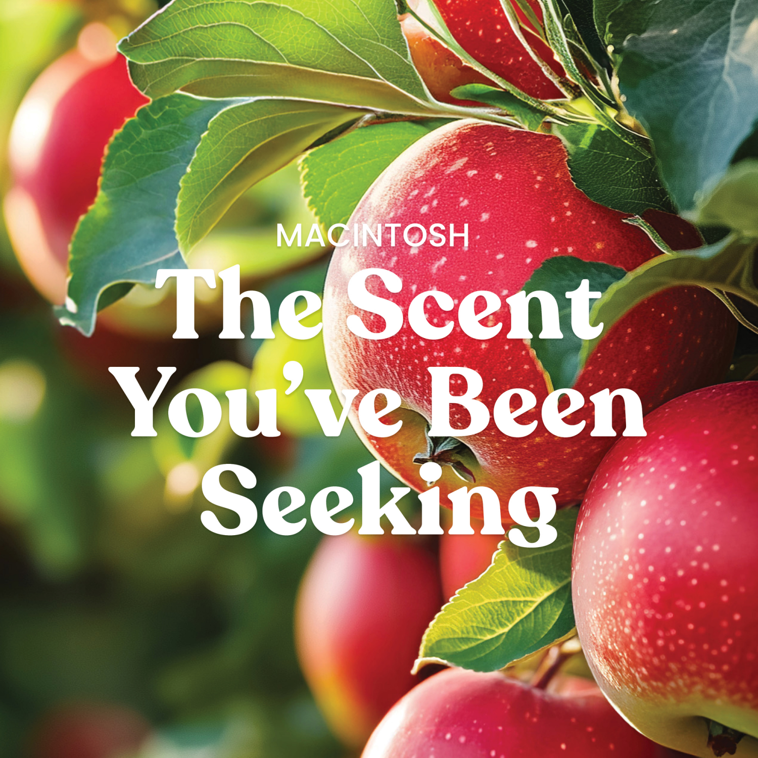 slide 3 of 6, Yankee Candle Signature Collection Macintosh Candle 1 ea, 1 ct