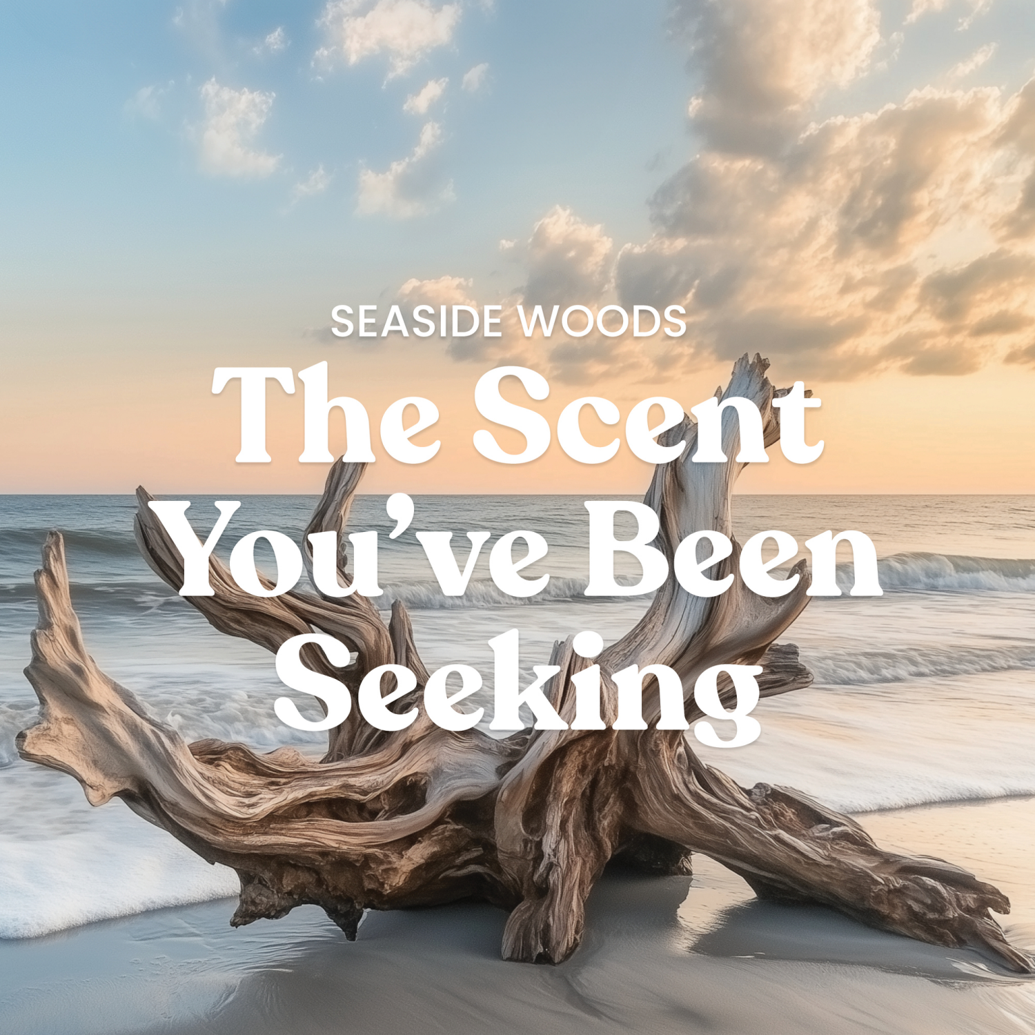 slide 3 of 6, Yankee Candle Signature Collection Seaside Woods Candle 1 ea, 1 ct