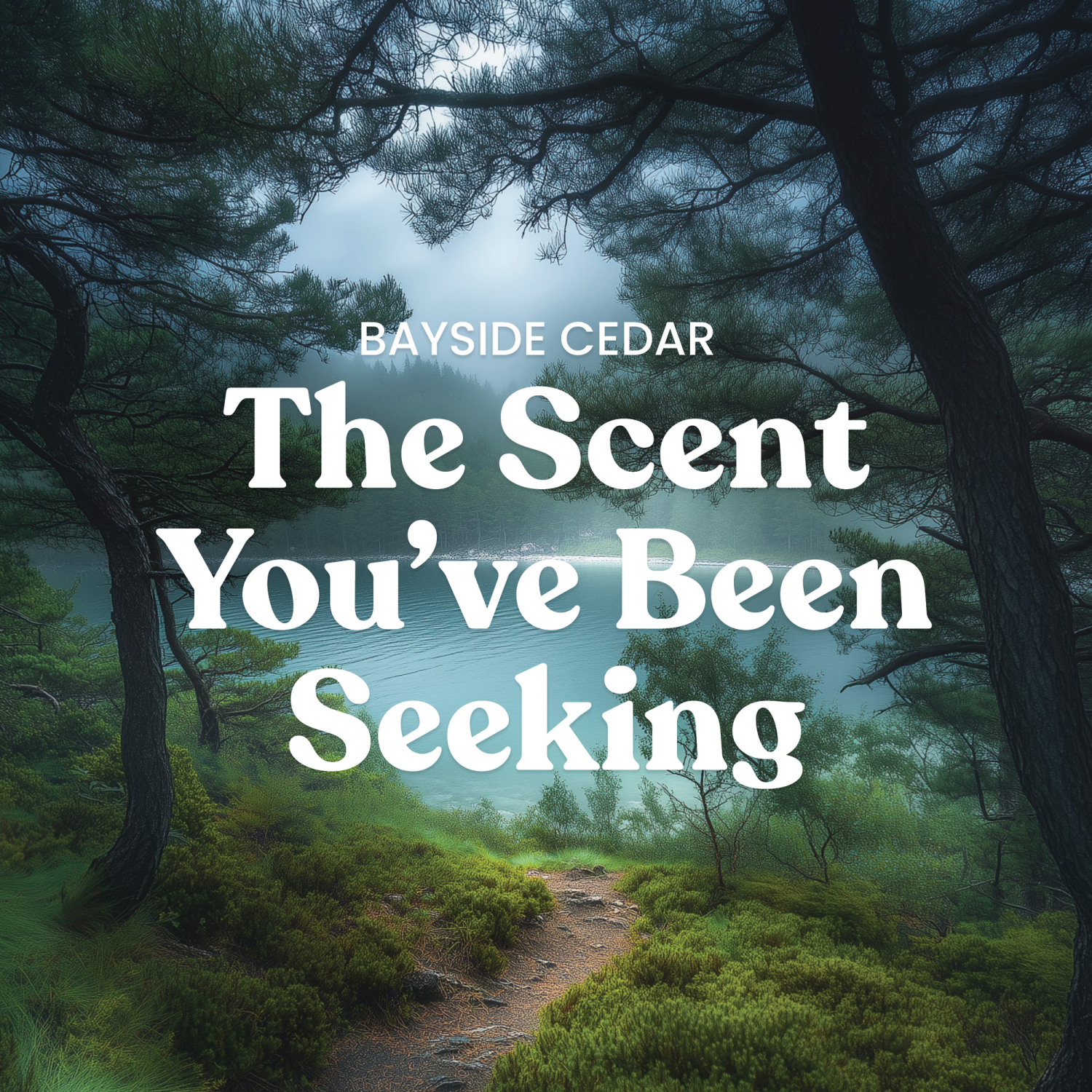 slide 3 of 5, Yankee Candle Bayside Cedar Candle 14.25 oz, 14.25 oz