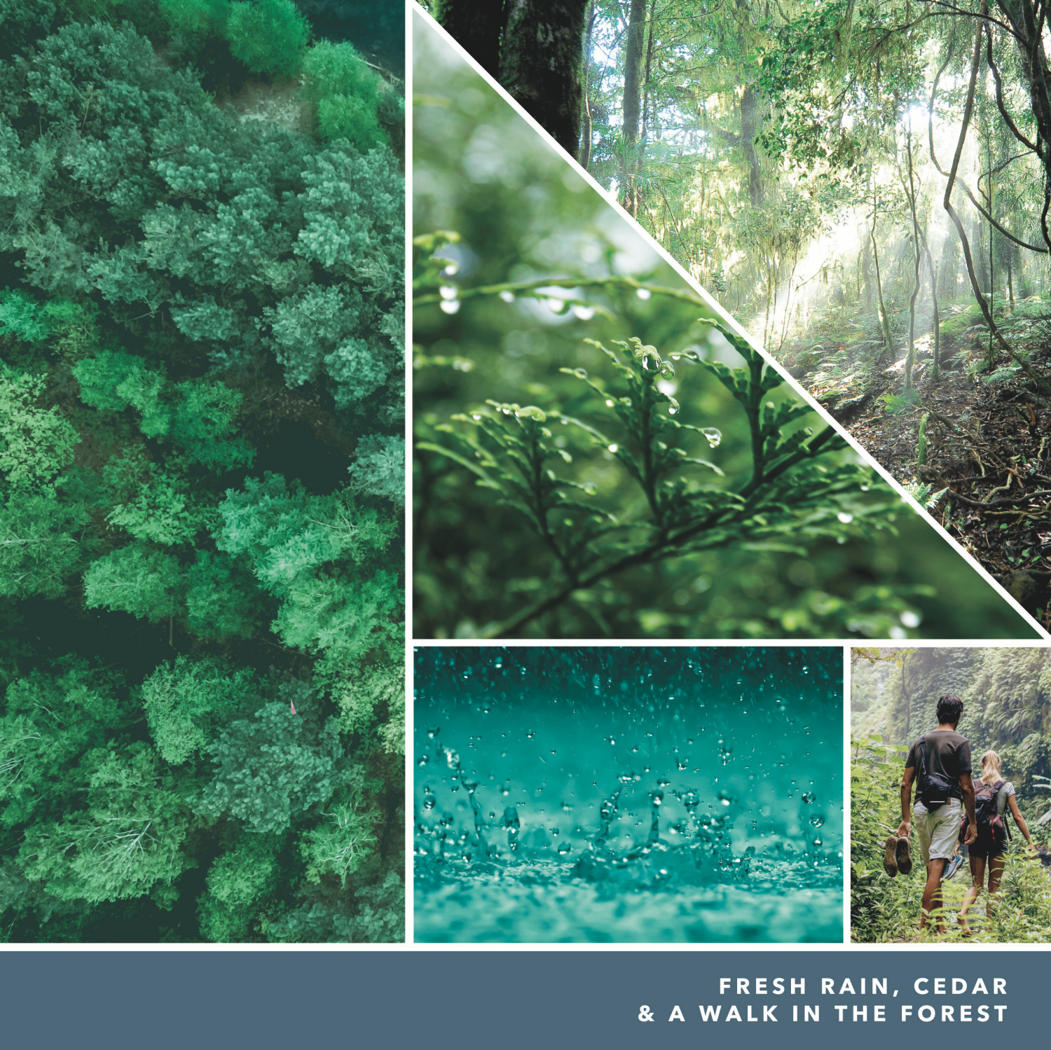 slide 4 of 5, Yankee Candle Bayside Cedar Candle 14.25 oz, 14.25 oz