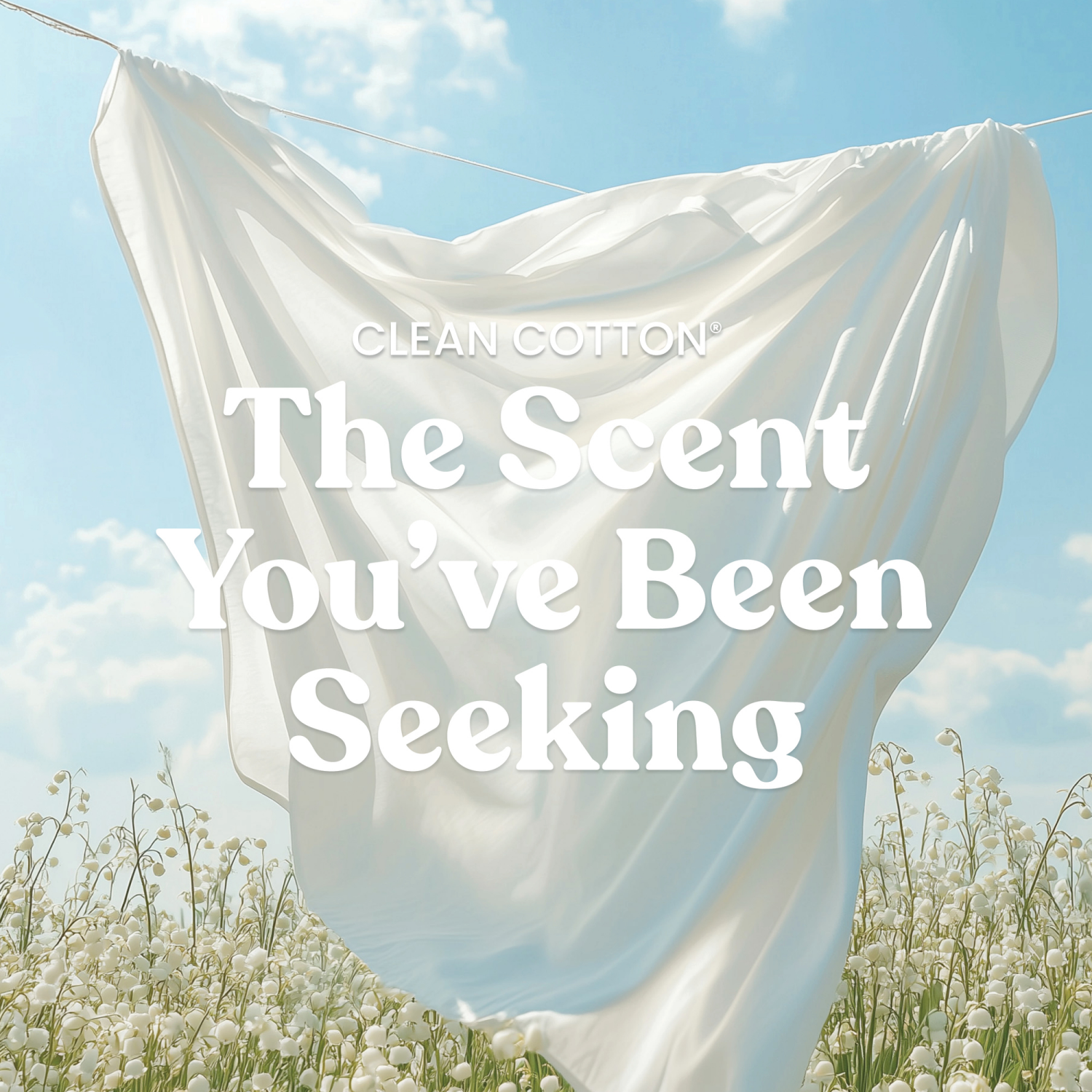 slide 3 of 5, Yankee Candle Clean Cotton Candle 1 ea, 1 ct