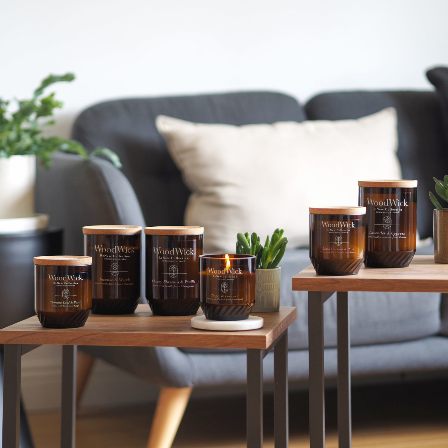 slide 2 of 4, WoodWick Black Currant & Rose Candle 1 ea, 1 ct