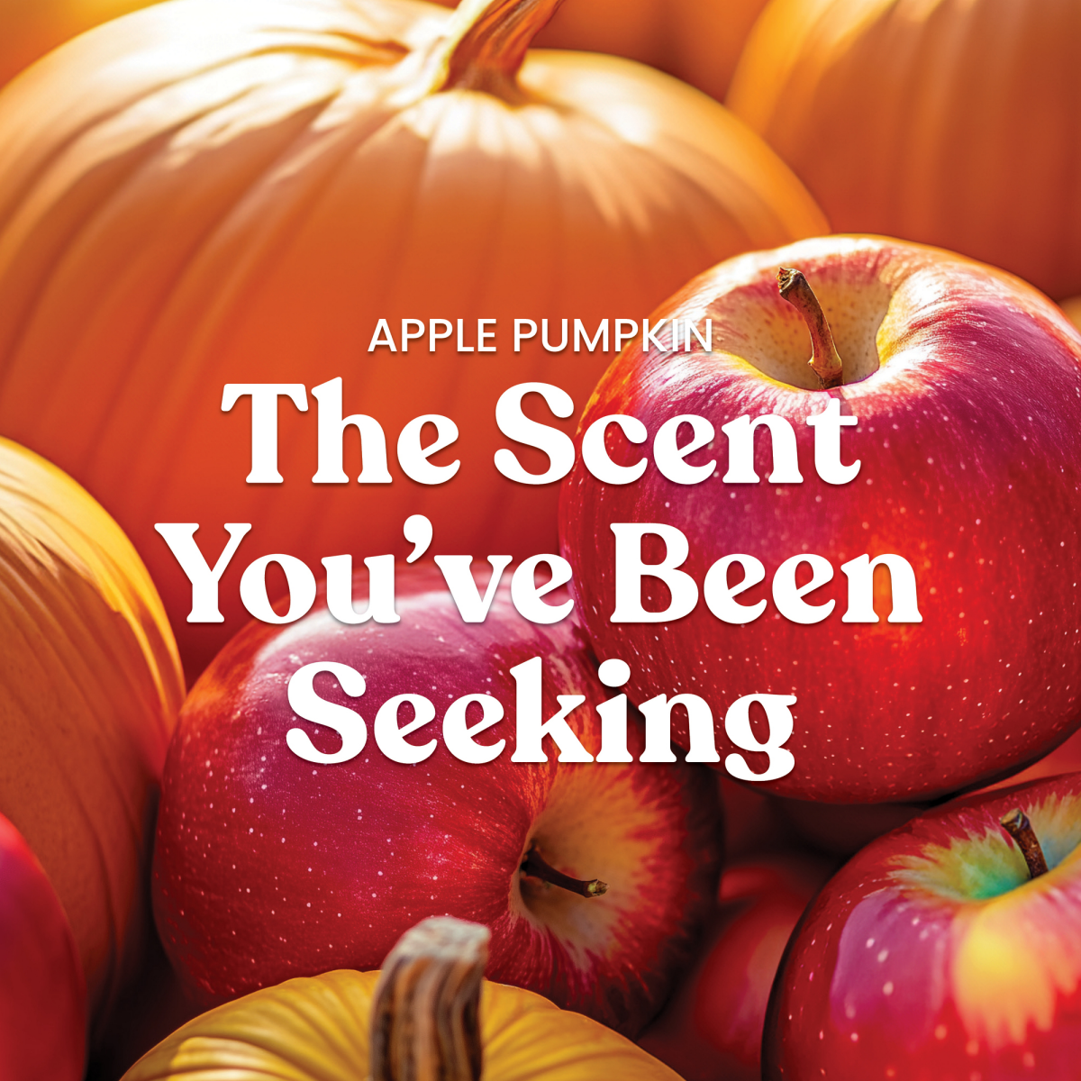 slide 3 of 5, Yankee Candle Apple Pumpkin Candle 1 ea, 1 ct