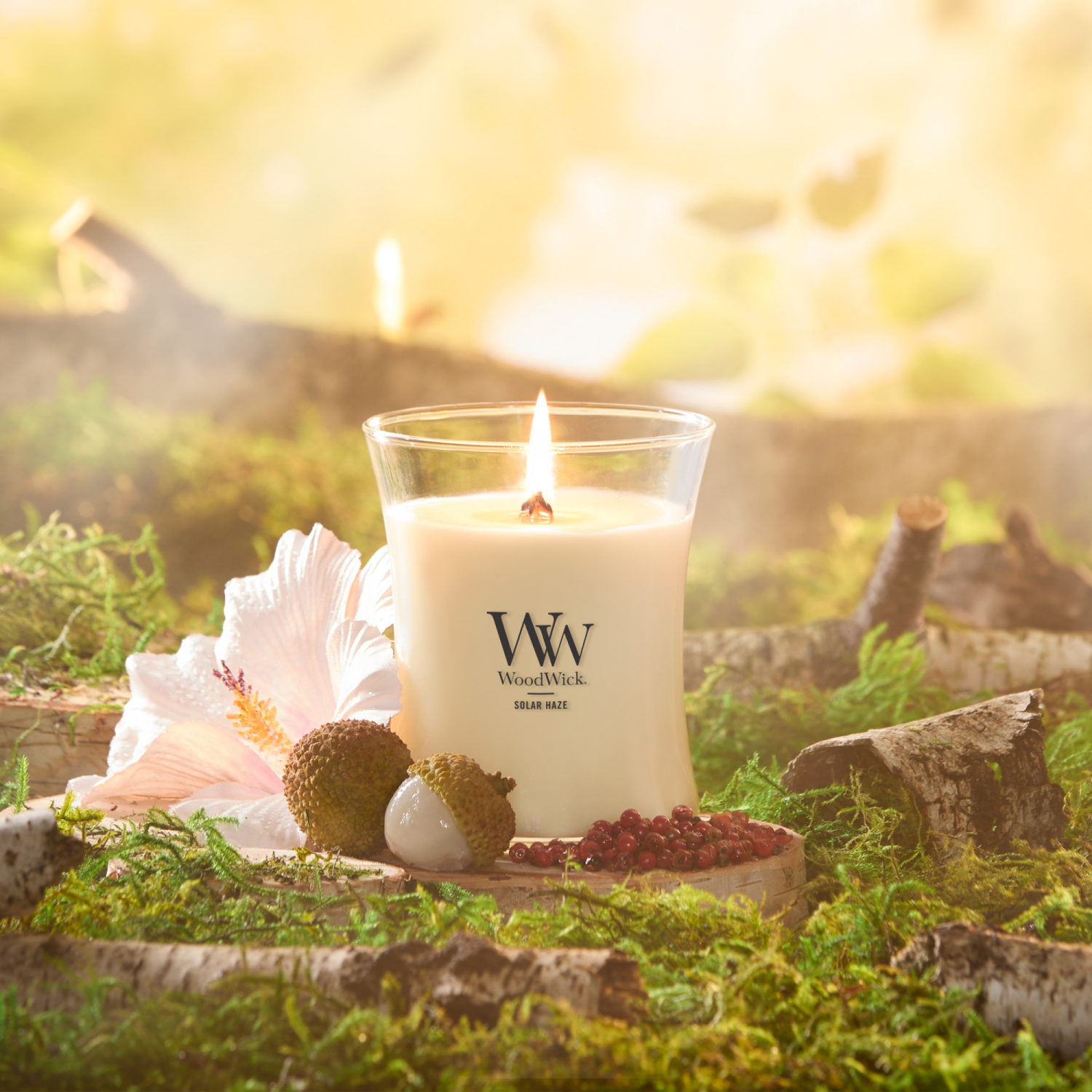 slide 3 of 3, Woodwick Medium Jar Candle Solar Haze 9.7 Oz., 9.7 oz