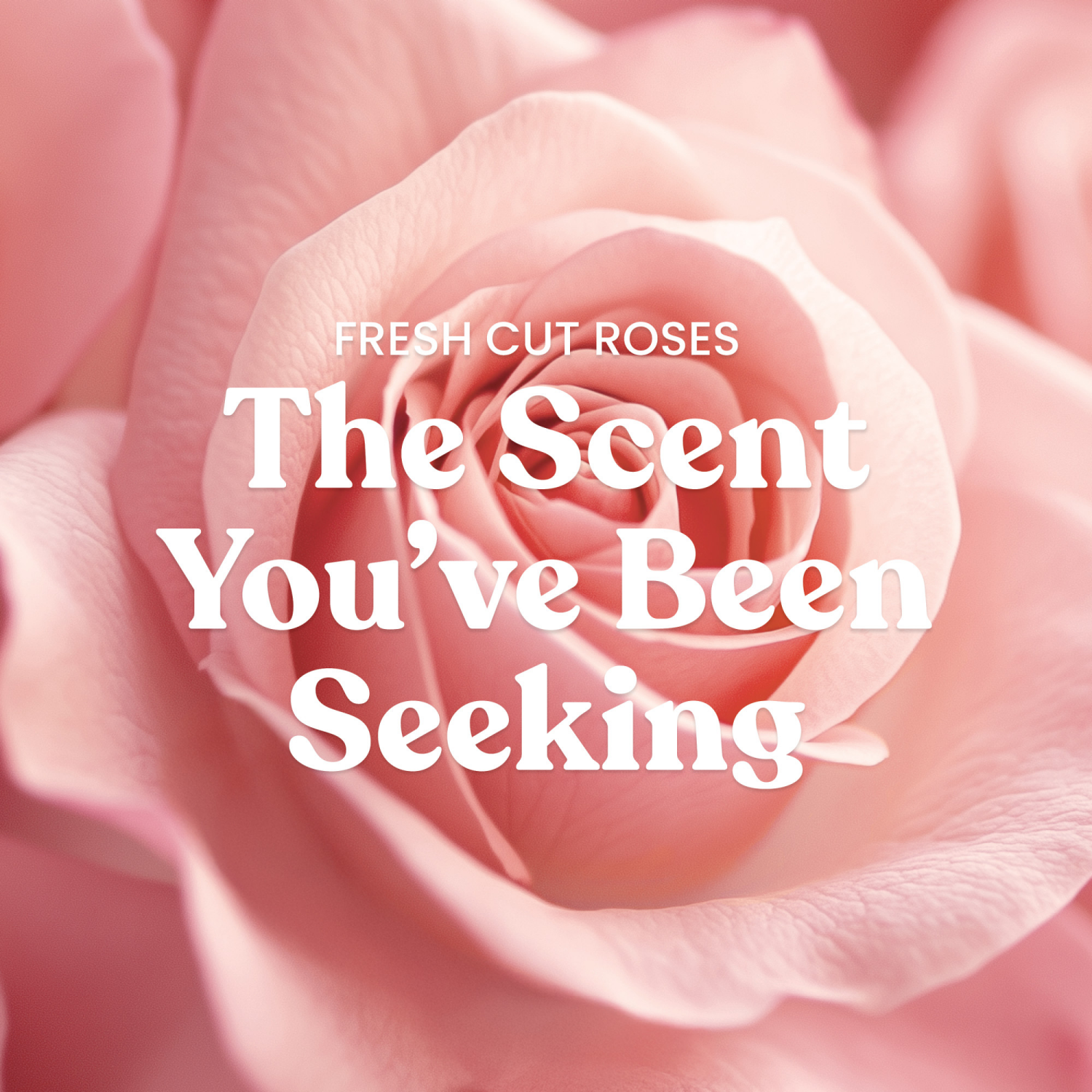 slide 3 of 5, Yankee Candle Large Jar Fresh Cut Roses 22 Oz., 22 oz