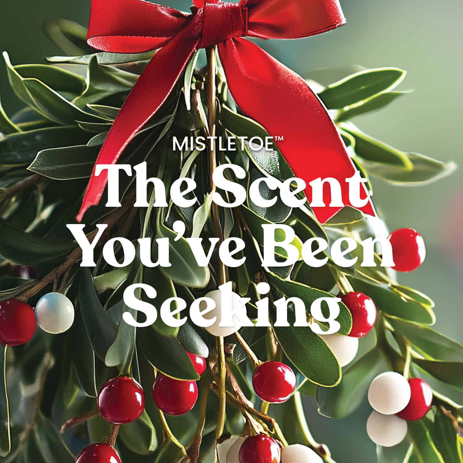 slide 3 of 5, Yankee Candle YC LG JAR MISTLETOE 22OZ, 22 oz