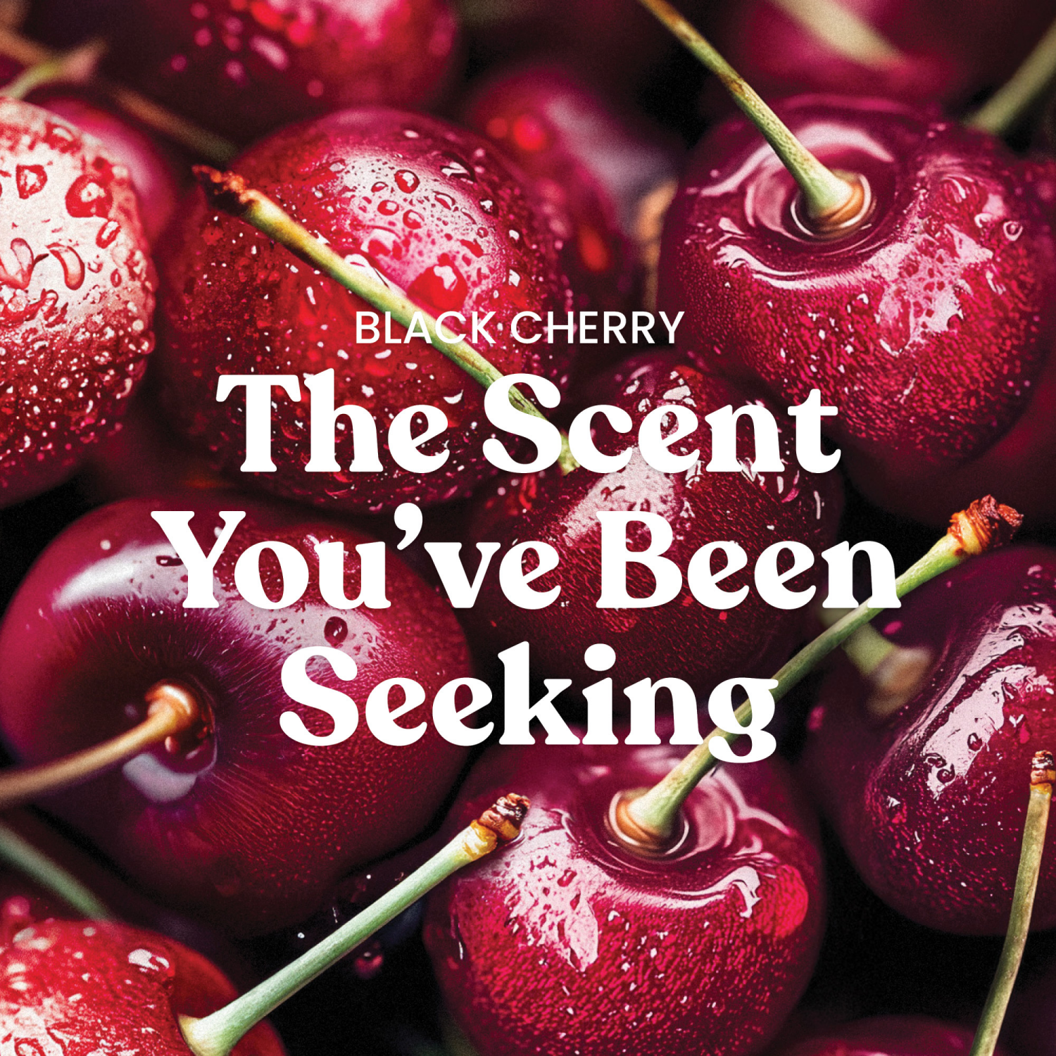 slide 3 of 5, Yankee Candle Large Jar Black Cherry 22 Oz., 22 oz