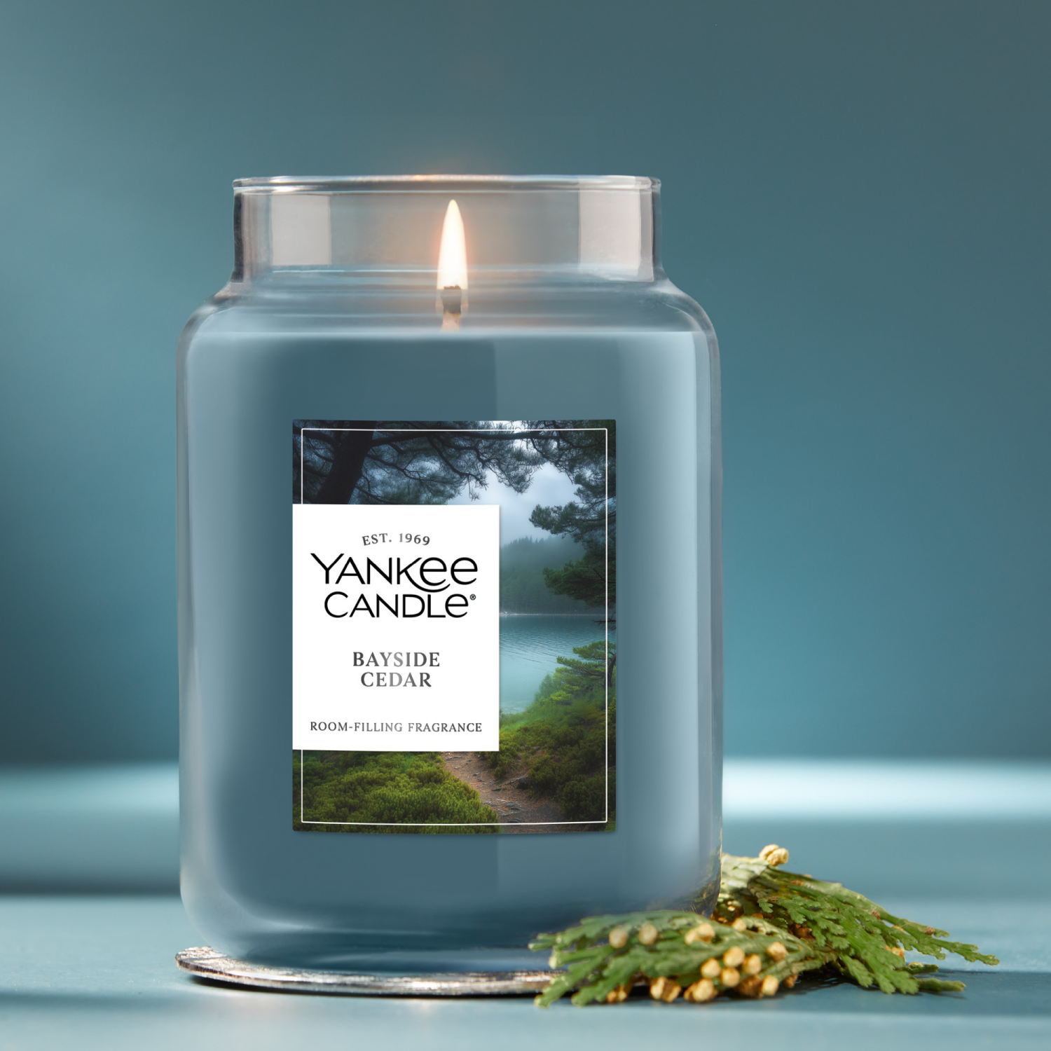 slide 2 of 5, Yankee Candle Large Jar Bayside Cedar 22 Oz., 22 oz