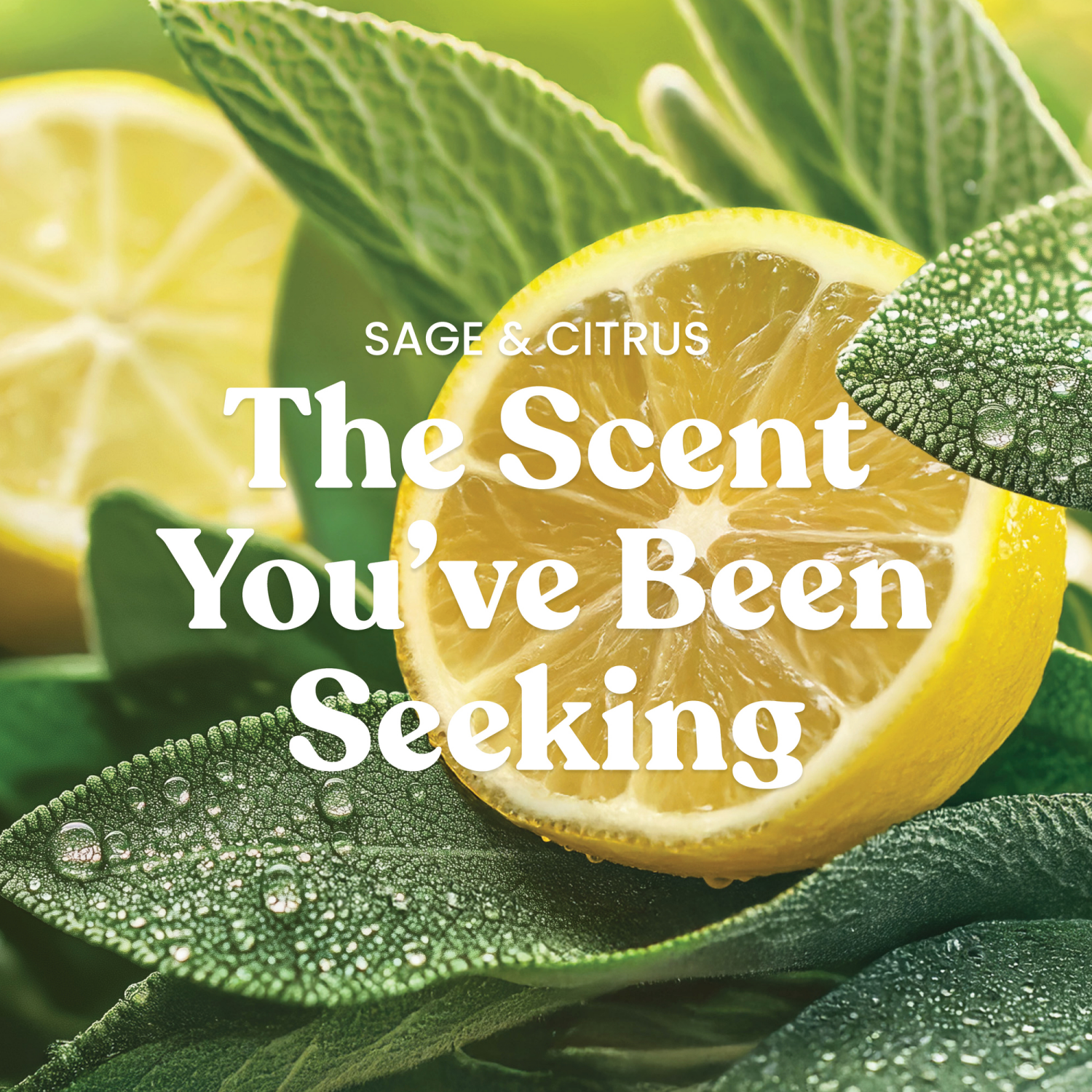 slide 3 of 5, Yankee Candle Sage & Citrus Scented Candle, 22oz Large Jar with up to 150 Hour Burn Time, Great for gifting, Birthdays, 1 ct