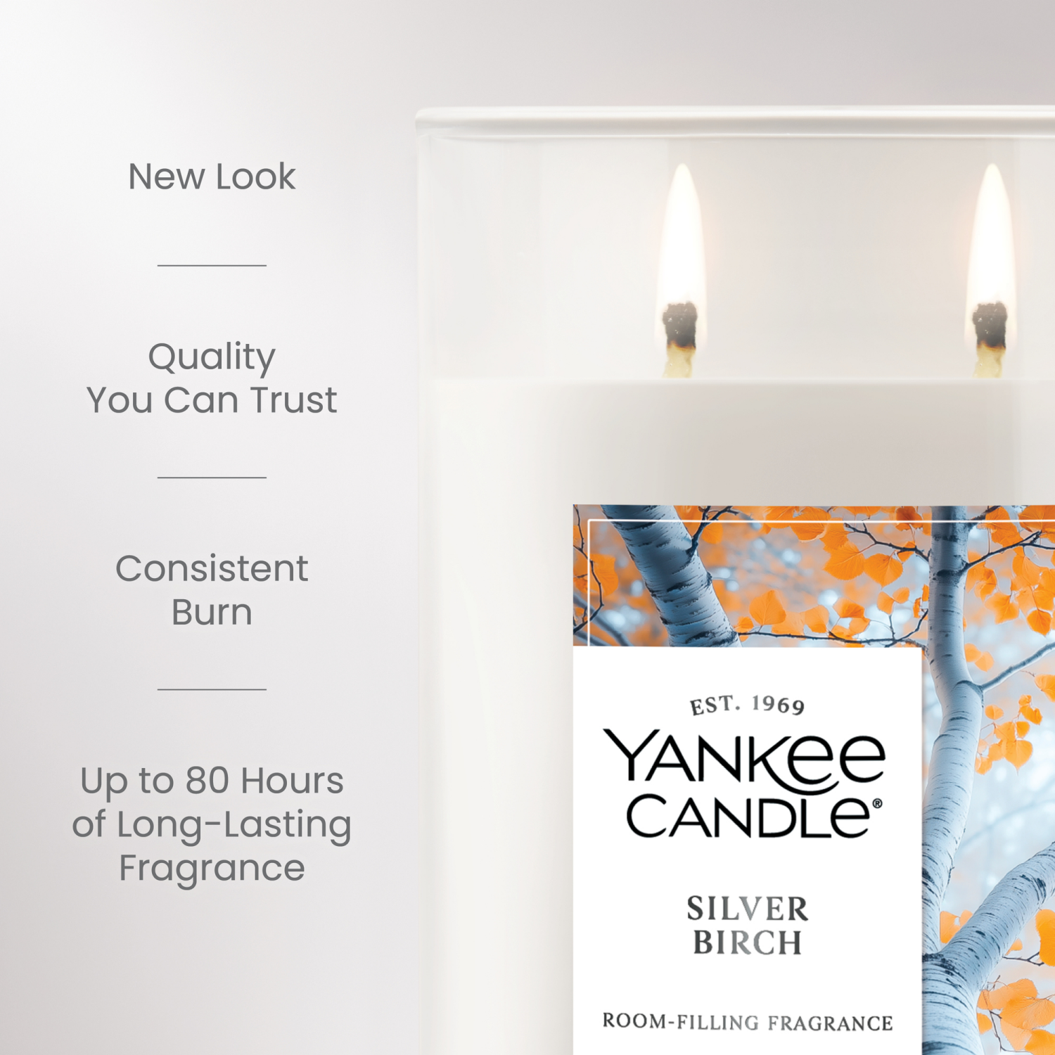 slide 5 of 5, Yankee Candle Large Tumbler Silver Birch 20 Oz., 20 oz