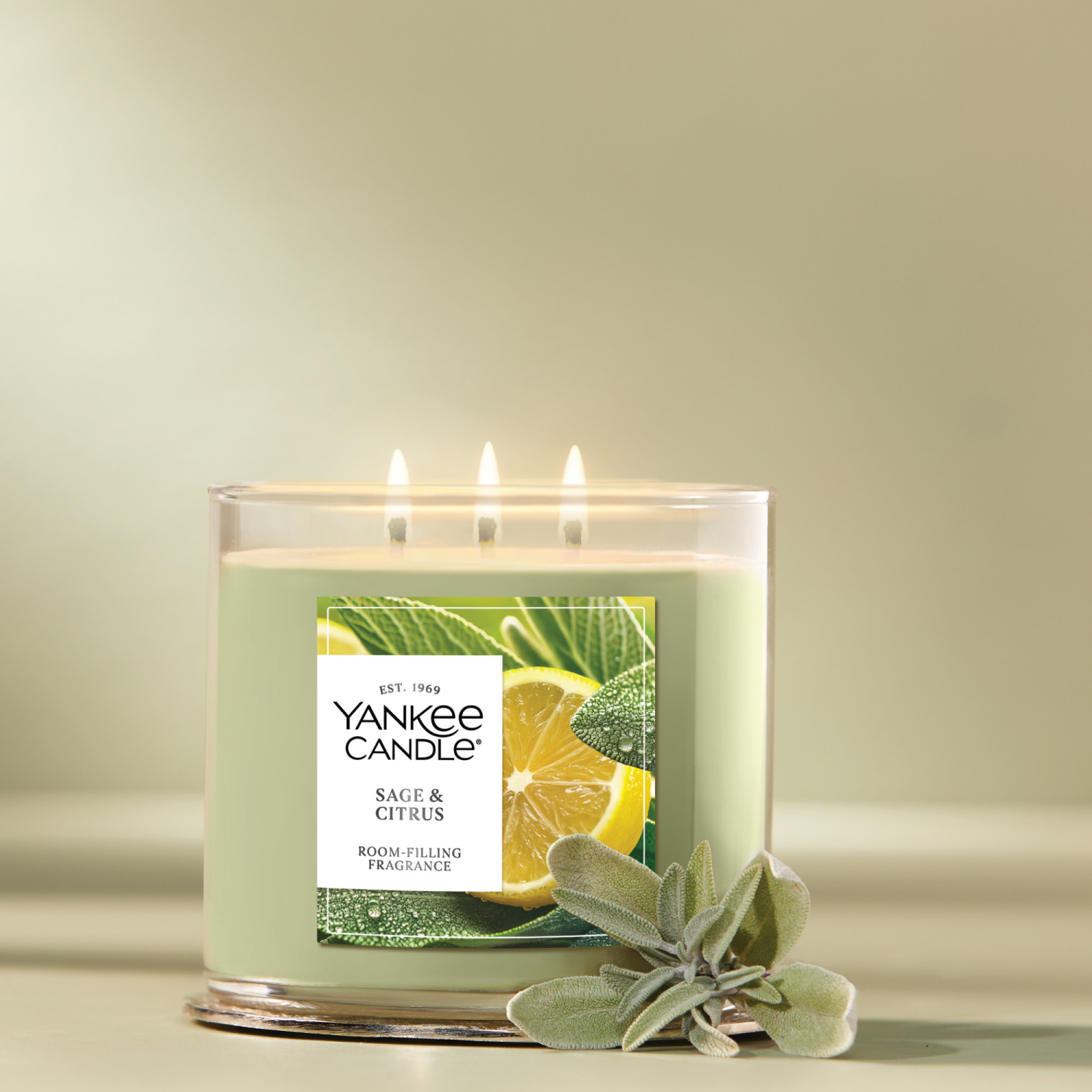slide 2 of 5, Yankee Candle 3 Wick Candle Jar, Scented Candle with up to 40 Hours of Burn Time, Premium Plant Wax Blend for Consistent Long Lasting Scent from First to Last Burn, Sage & Citrus, 1 ct
