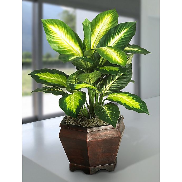 slide 2 of 2, Nearly Natural Artificial Golden Dieffenbachia with Wood Vase, 1 ct