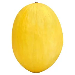 Canary Melon