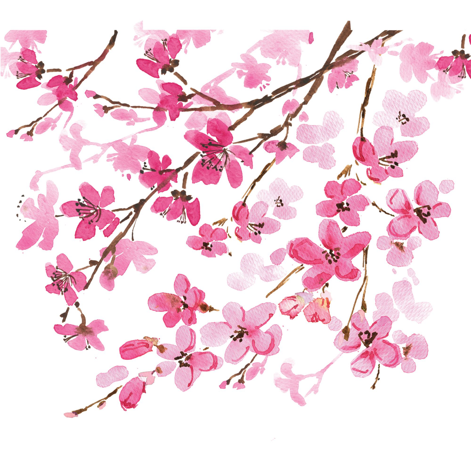 slide 2 of 2, Tervis Japanese Cherry Blsm Pib, 1 ct