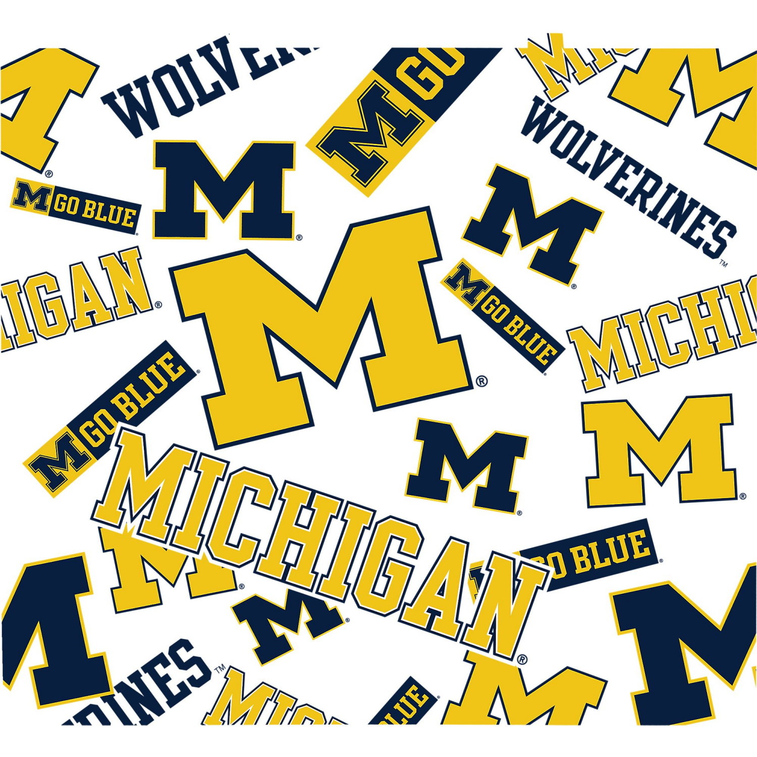 slide 2 of 2, NCAA Michigan Wolverines Tervis All Over Venture Water Bottle - 24oz, 24 oz