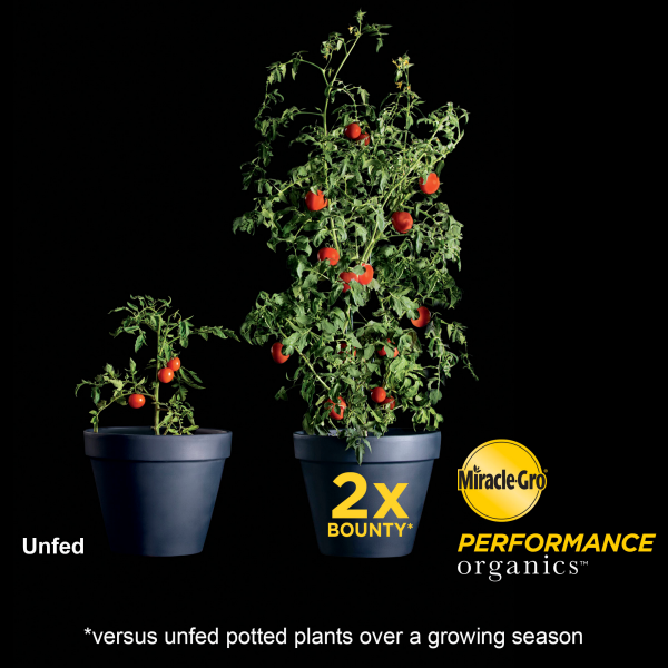 slide 4 of 13, Miracle-Gro Miracle Gro All Purpose Performanc Plant Food, 6 qt
