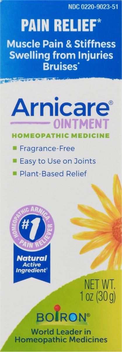 slide 2 of 13, Boiron Arnica Ointment, 1 oz