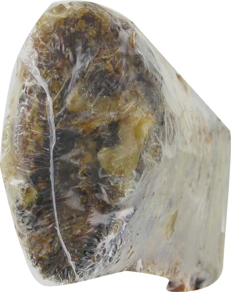 slide 3 of 4, Best Buy Bones Rib 1 ea, 1 ct