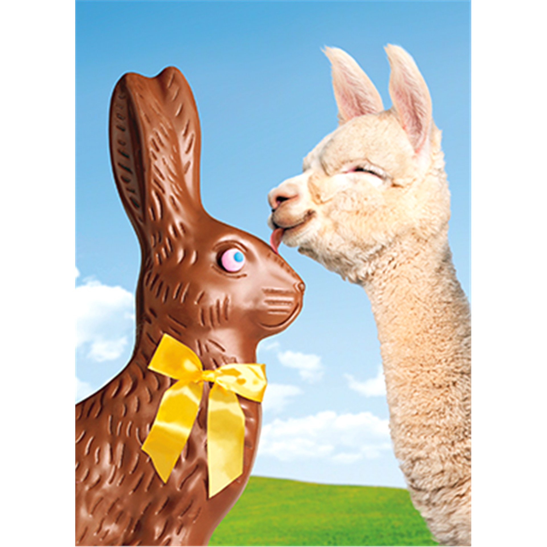 slide 1 of 1, Avanti Card Easter Llama And Chocolate Bunny, 1 ct