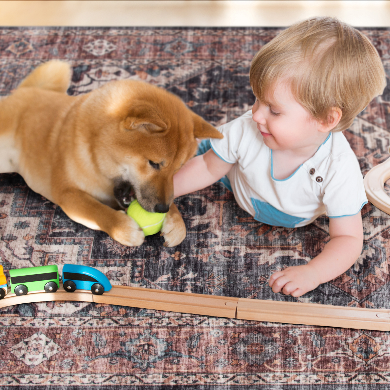 slide 2 of 2, Rugease Velveteen Adrianna Medallion 5x7 Washable Area Rug, 1 ct