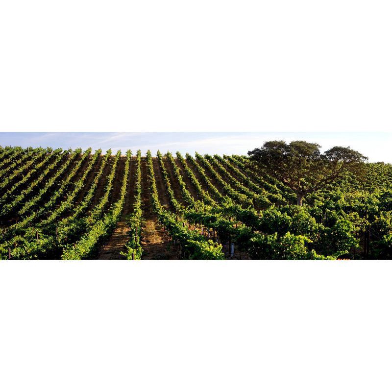 slide 4 of 4, Ravenswood Winery Vintners Cabernet Sauvignon Red Wine - 750ml Bottle, 750 ml