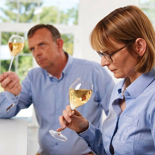 slide 5 of 10, Champagne Gosset Grande Réserve Brut NV, 750 ml