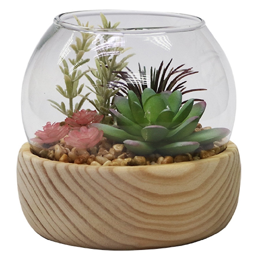 slide 1 of 1, Modern Expressions Wood Stand Succulent, 1 ct