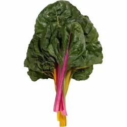 Organic Rainbow Chard