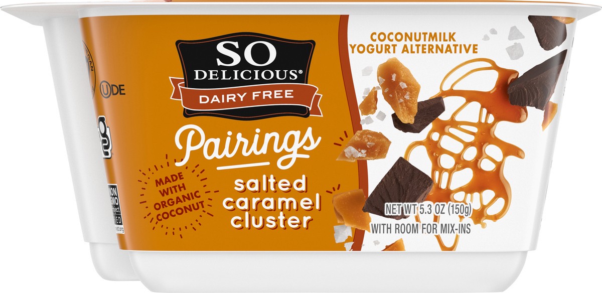 slide 6 of 9, So Delicious Dairy Free Pairings Coconut Milk Yogurt Alternative, Salted Caramel Cluster, 5.3 oz., 5.3 oz