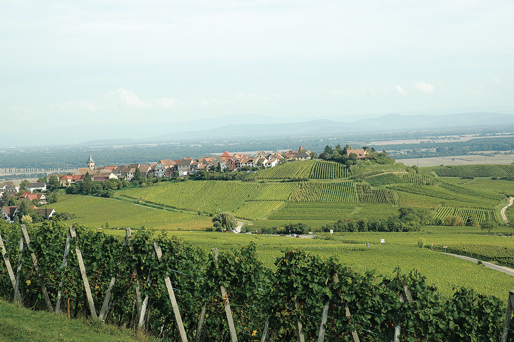 slide 8 of 10, Pierre Sparr Gewurztraminer AOC Alsace, 750 ml