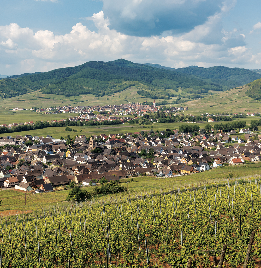 slide 9 of 10, Pierre Sparr Gewurztraminer AOC Alsace, 750 ml