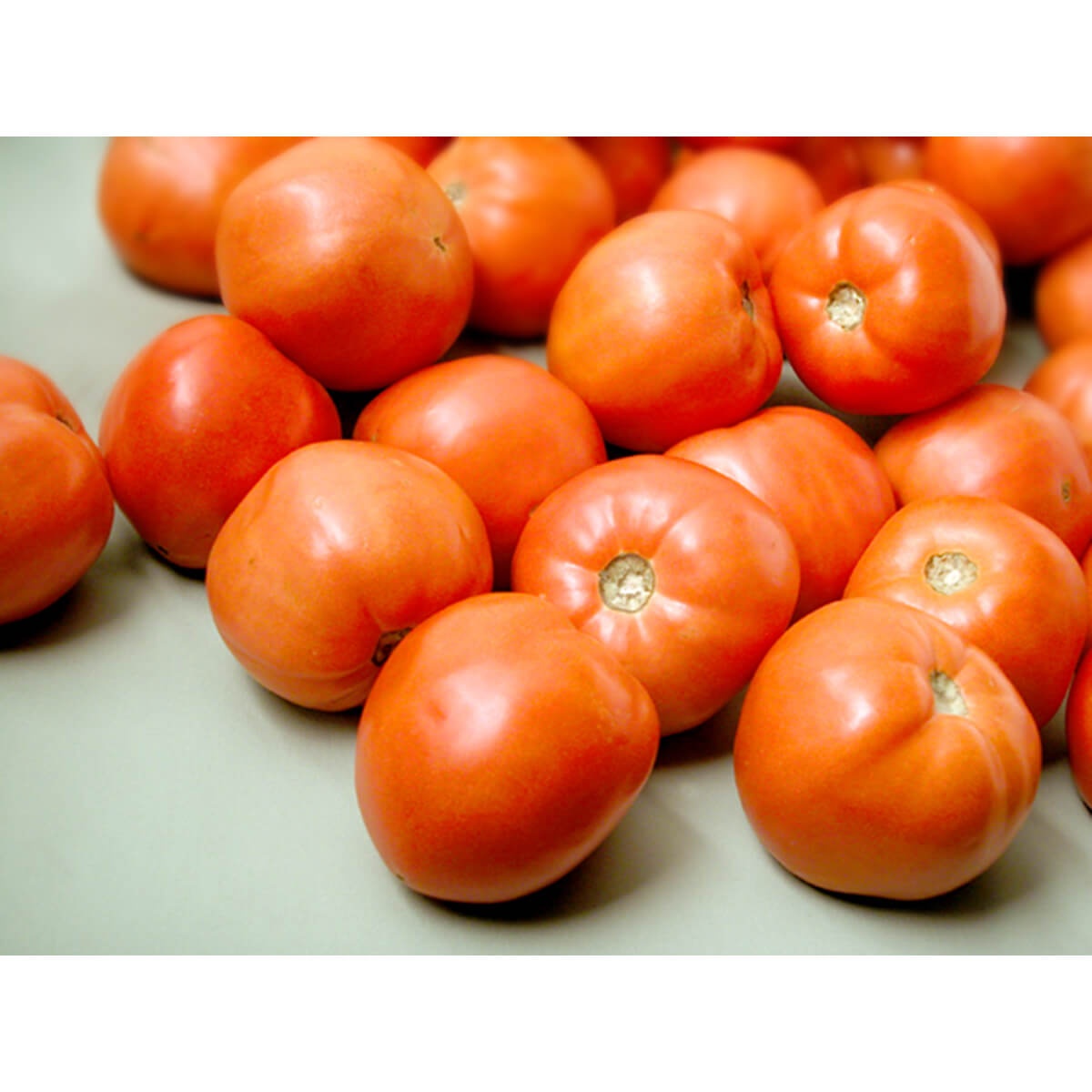 slide 1 of 1, Tomato, 1 ct