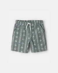 Carters Boys Palm Tree Knit Shorts - Grey/Green Grey/Green 6