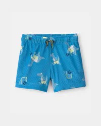 Carters Toddler Boy Dinosaur Soccer Mesh Shorts - Blue Blue 2T
