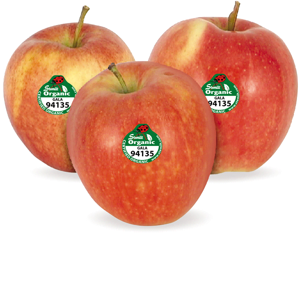 slide 1 of 1, Large Organic Gala Apple, 1 ct