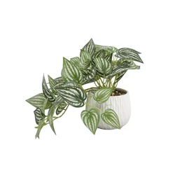 Elements Pothos Plastic Artificial Greenery Strip 9IN