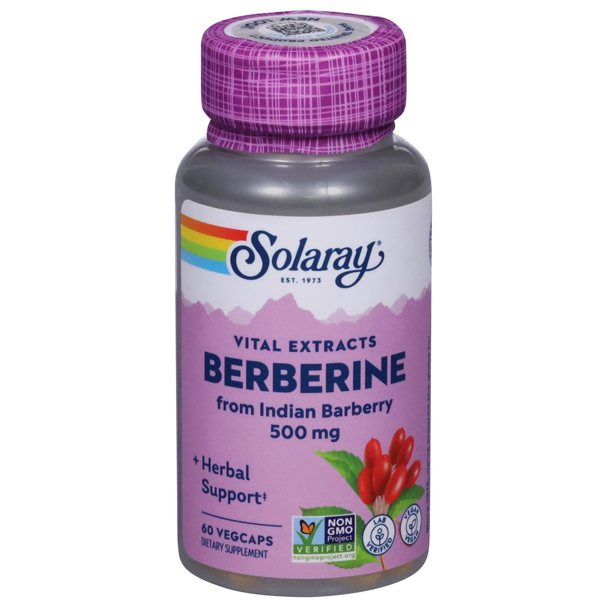 slide 1 of 13, Solaray 500 mg Berberine from Indian Berberine 60 Vegcaps, 1 ct